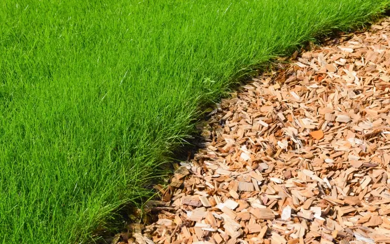 wood chippings make great paths
