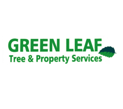 Green Leaf